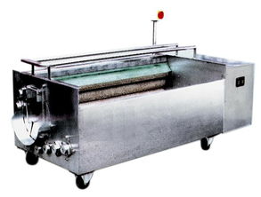 高效便捷 山藥清洗機的應(yīng)用與優(yōu)勢